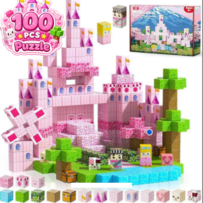 Magnetic Cubes Building Blocks for Kids DIY