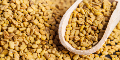 Fenugreek